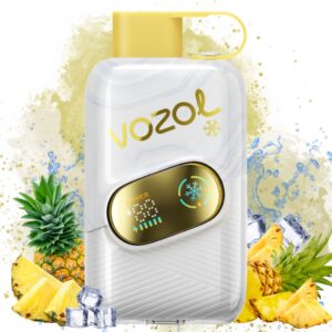 Pineapple Ice